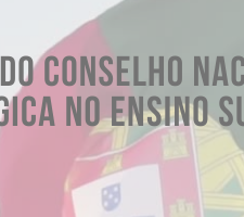 MECI dez.24 | Despacho n.º 15261-H/2024 - Designação de membros do CNIPES