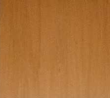 Futuro e liderança da IA no Ensino Superior em debate 