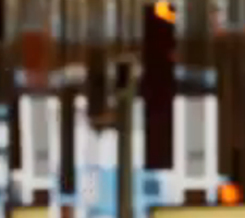 Diretor-Geral Joaquim Mourato destaca impacto do PRR no combate ao abandono